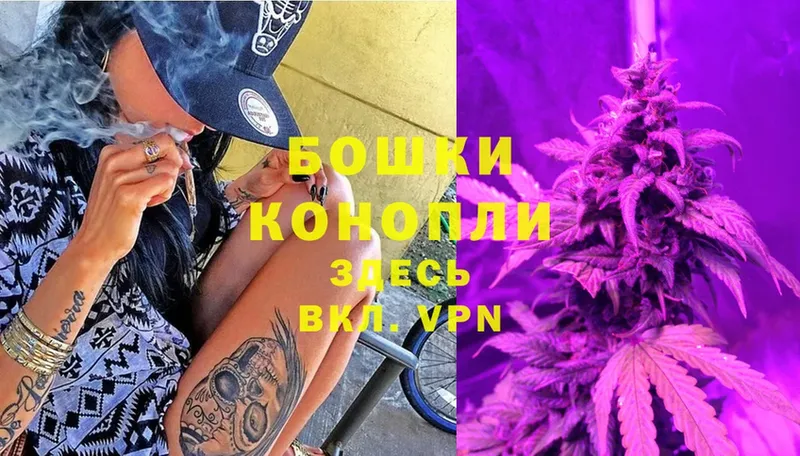 дарк нет формула  наркота  Майский  Шишки марихуана White Widow 